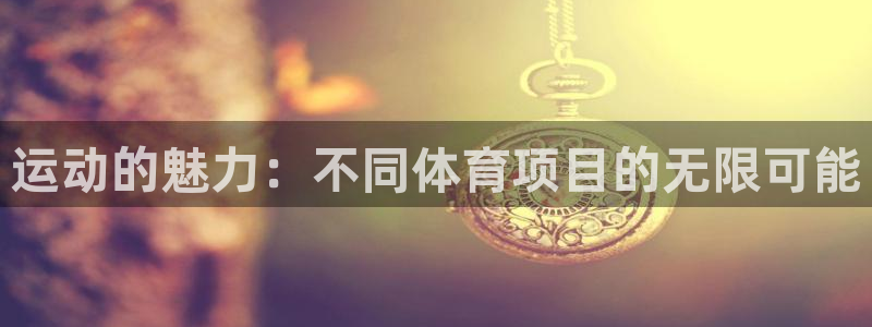 凯发官方正版app集团E.ON:运动的魅力:不同体育项目的无