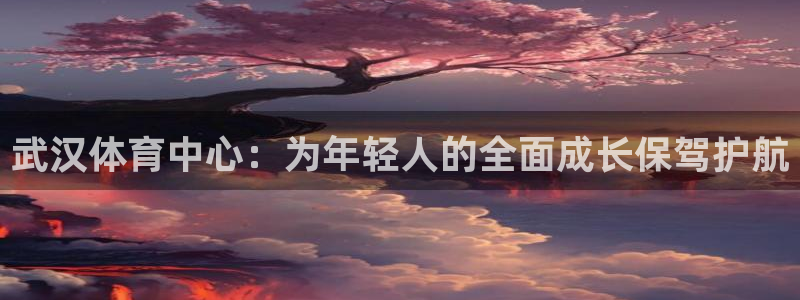 凯发官网下载招商电话是多少号码:武汉体育中心:为年轻人的全面