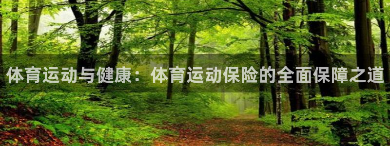 凯发官方正版app神州:体育运动与健康:体育运动保险的全面保